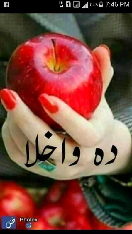 Sab lo