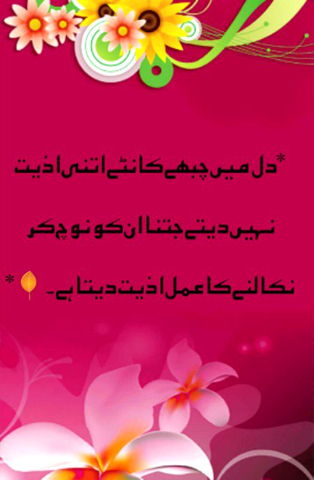 🍁Zoq_Shab🍁