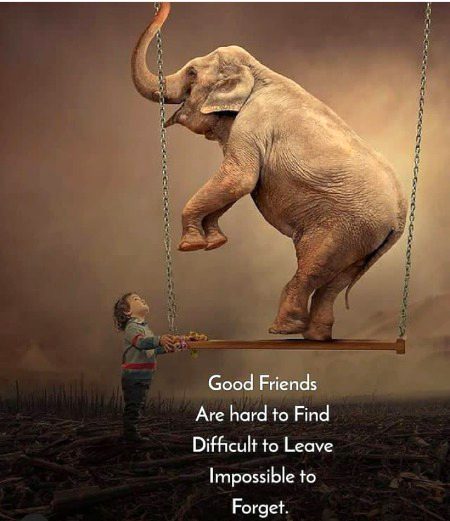 Good friends....
