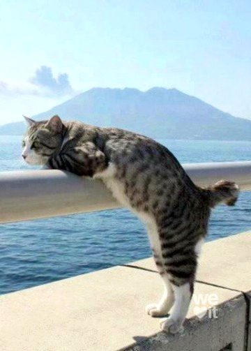 Beautiful Nature image