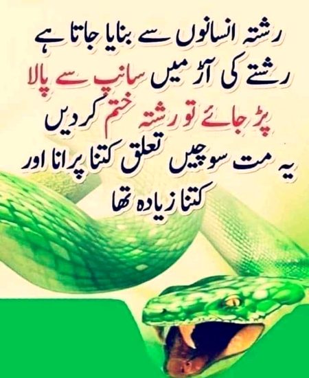 Saanaam ❣️❣️ N mry yr agr koi sanp bnkr tjhko pyr jtay to tor de us rishty ko