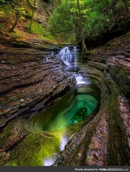 Beautiful Nature image