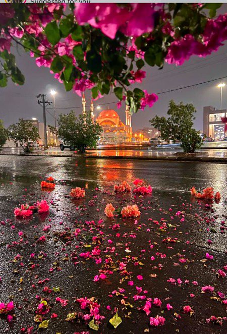 Beautiful Nature image