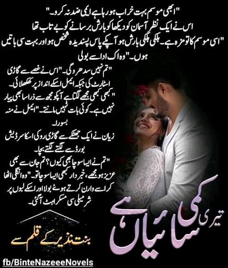 Romantic Novels image