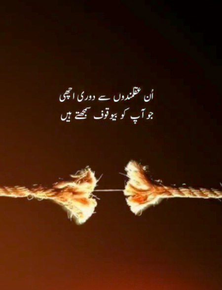 Life Advice image