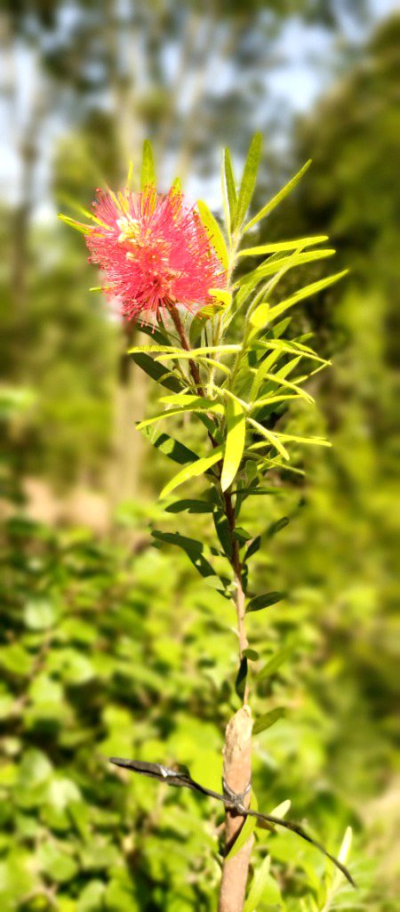 Beautiful Nature image