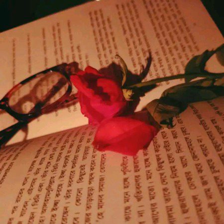 Beautiful Nature image