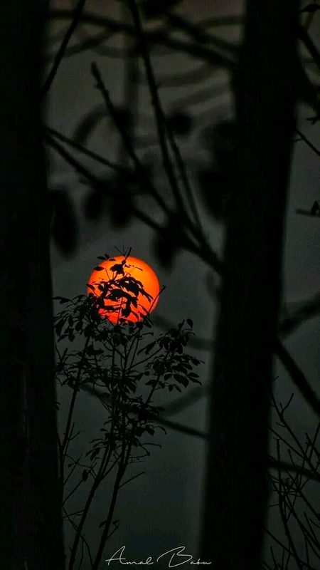 Beautiful Nature image