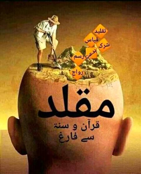 Co hhfvhgfvbh bfc bn