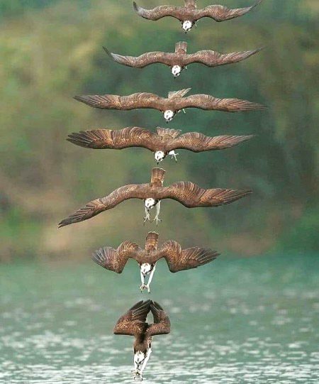 Beautiful Nature image