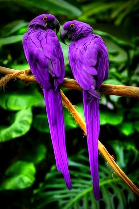 Beautiful Nature image