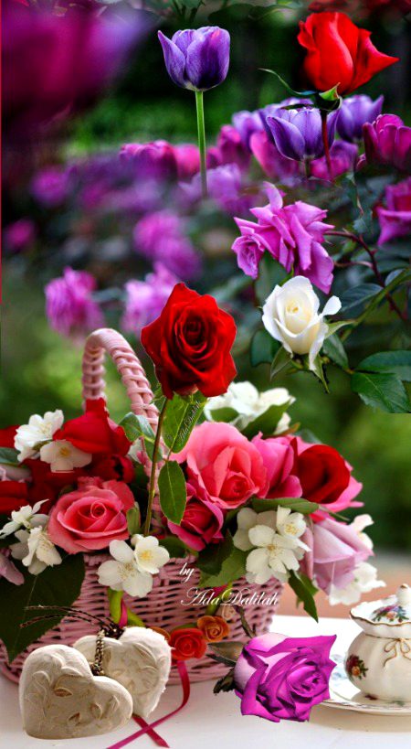 Beautiful Nature image
