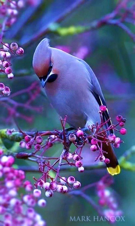 Beautiful Nature image