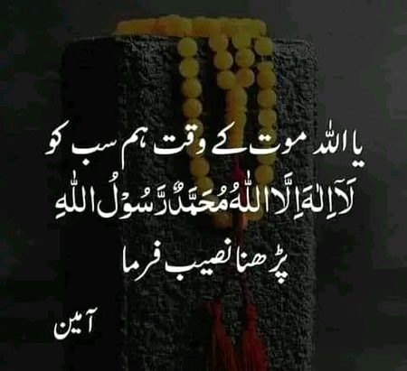 Islamic Quotes image