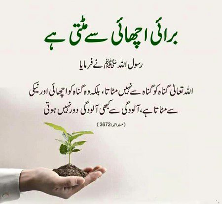 Islamic Quotes image