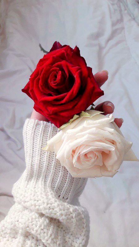 Beautiful Nature image