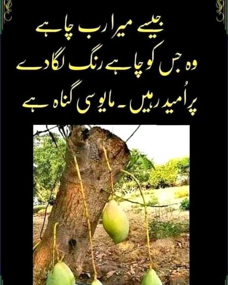 Islamic Quotes image
