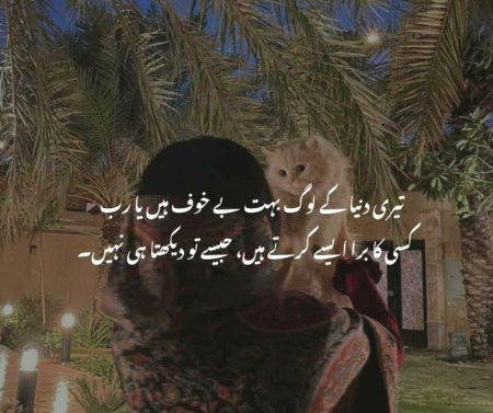 Sad Poetry image