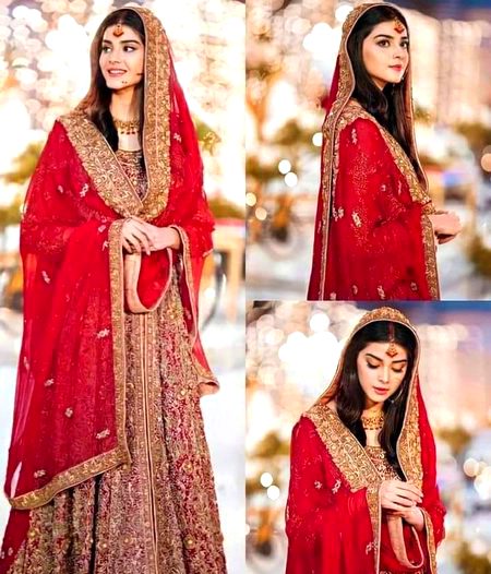 Pakistani Celebs image