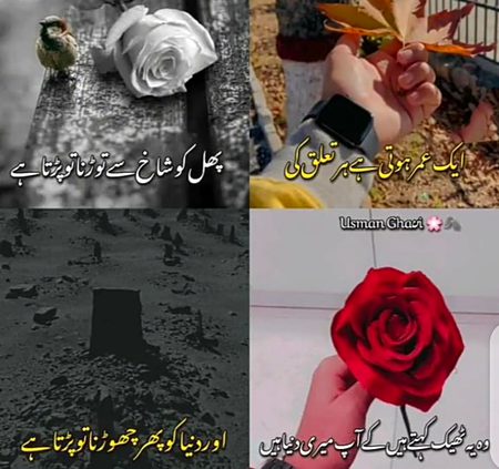 Sad Poetry image