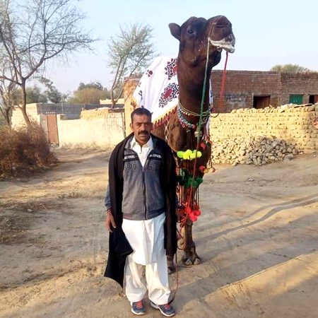 Asan  lok  ser  pehrey  haan👌