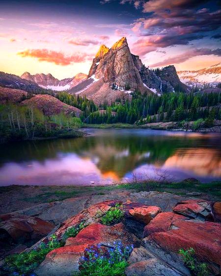 BEAUTIFUL NATURE