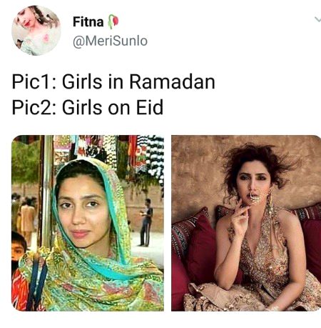 Memes & Satire image