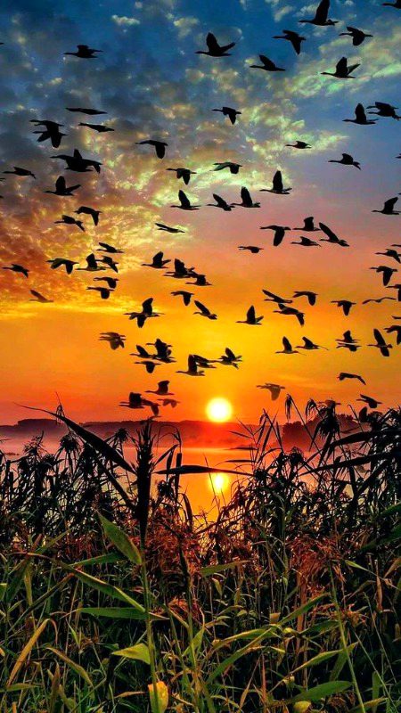 Beautiful Nature image