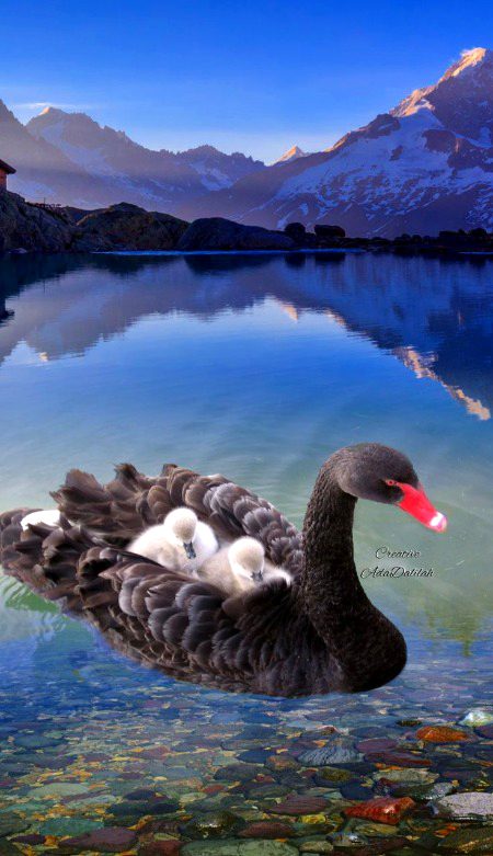 Beautiful Nature image