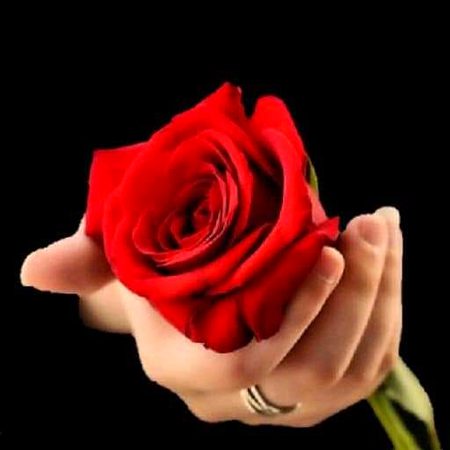 Beautiful Nature image