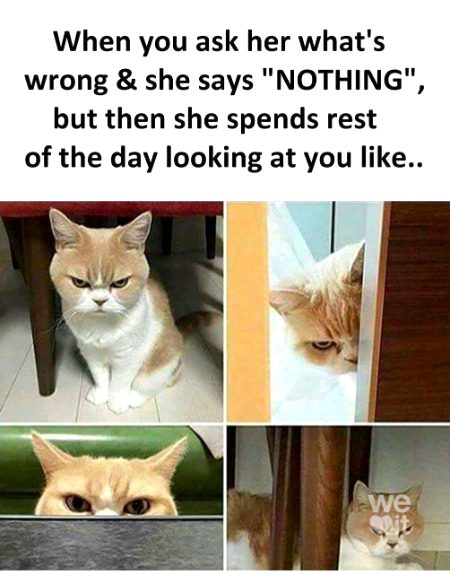 Memes & Satire image