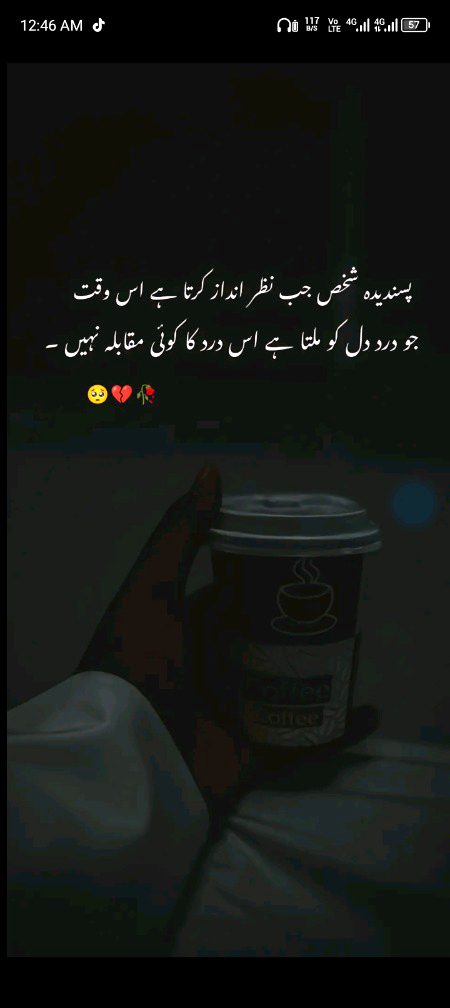 ❤️🌹🌹🌹🌹🌹❤️