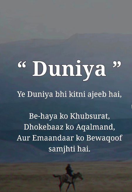 ...🍁 🍁 🍁...