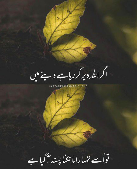 Islamic Quotes image