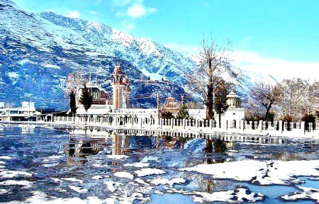 Beautiful Nature image