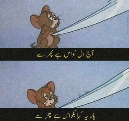 Memes & Satire image