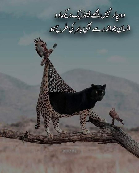 Attitude Poetry image