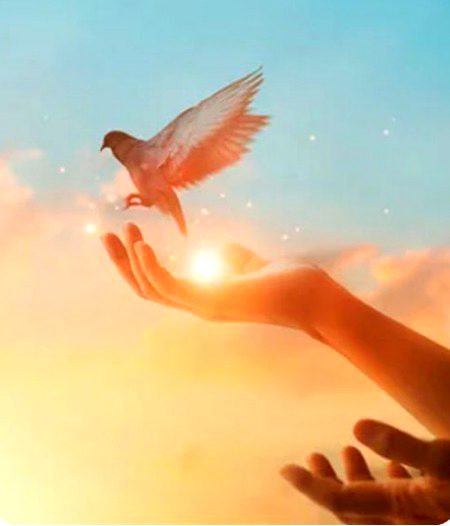 Beautiful Nature image