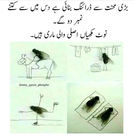 Memes & Satire image