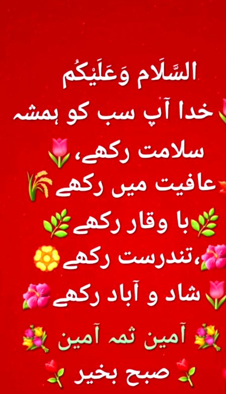 Assalam o Alaikum 💞🤲