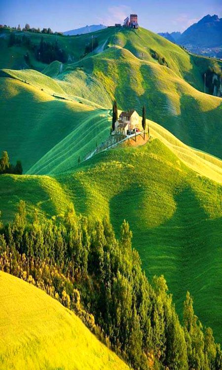 Beautiful Nature image