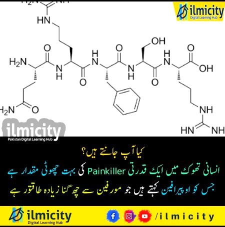 Interesting Posts image