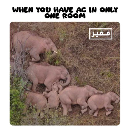 Memes & Satire image