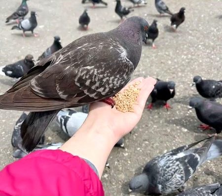 Beautiful Nature image