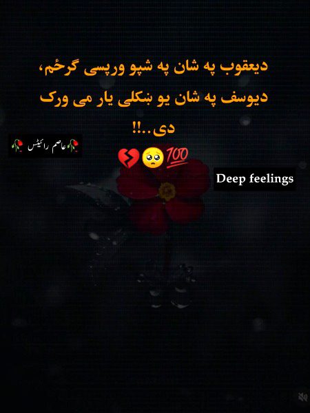 _*هغې دومره پښیمانه کړم ازله*_
_*دوباره به محبت رانه ونشي*_