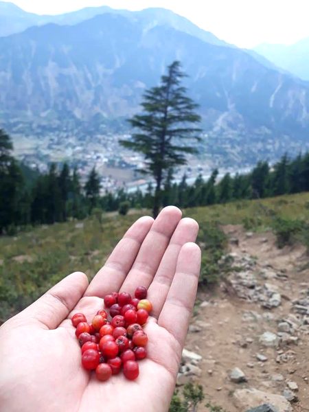 Beautiful Nature image