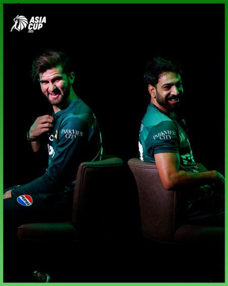 Pakistani Celebs image
