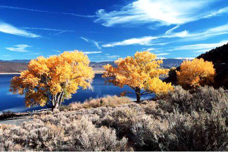 Beautiful Nature image