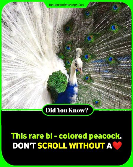 Interesting Posts image