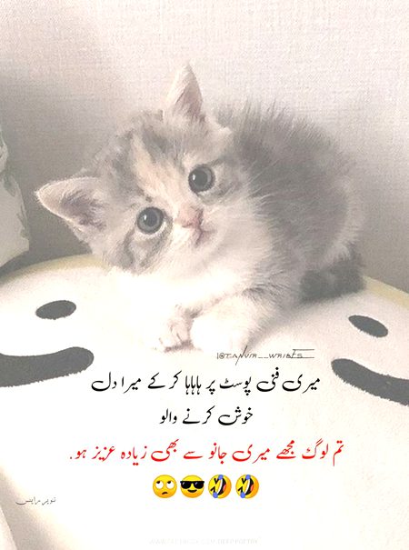 Likn meri janu to hy ni koi